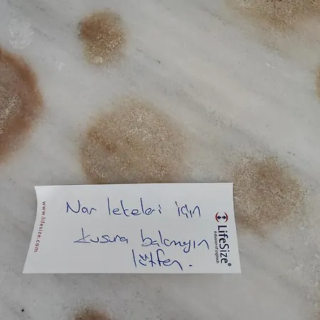 Coach Vilă *